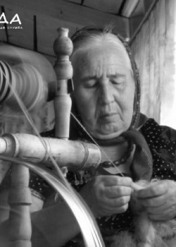 Виктория Ильина